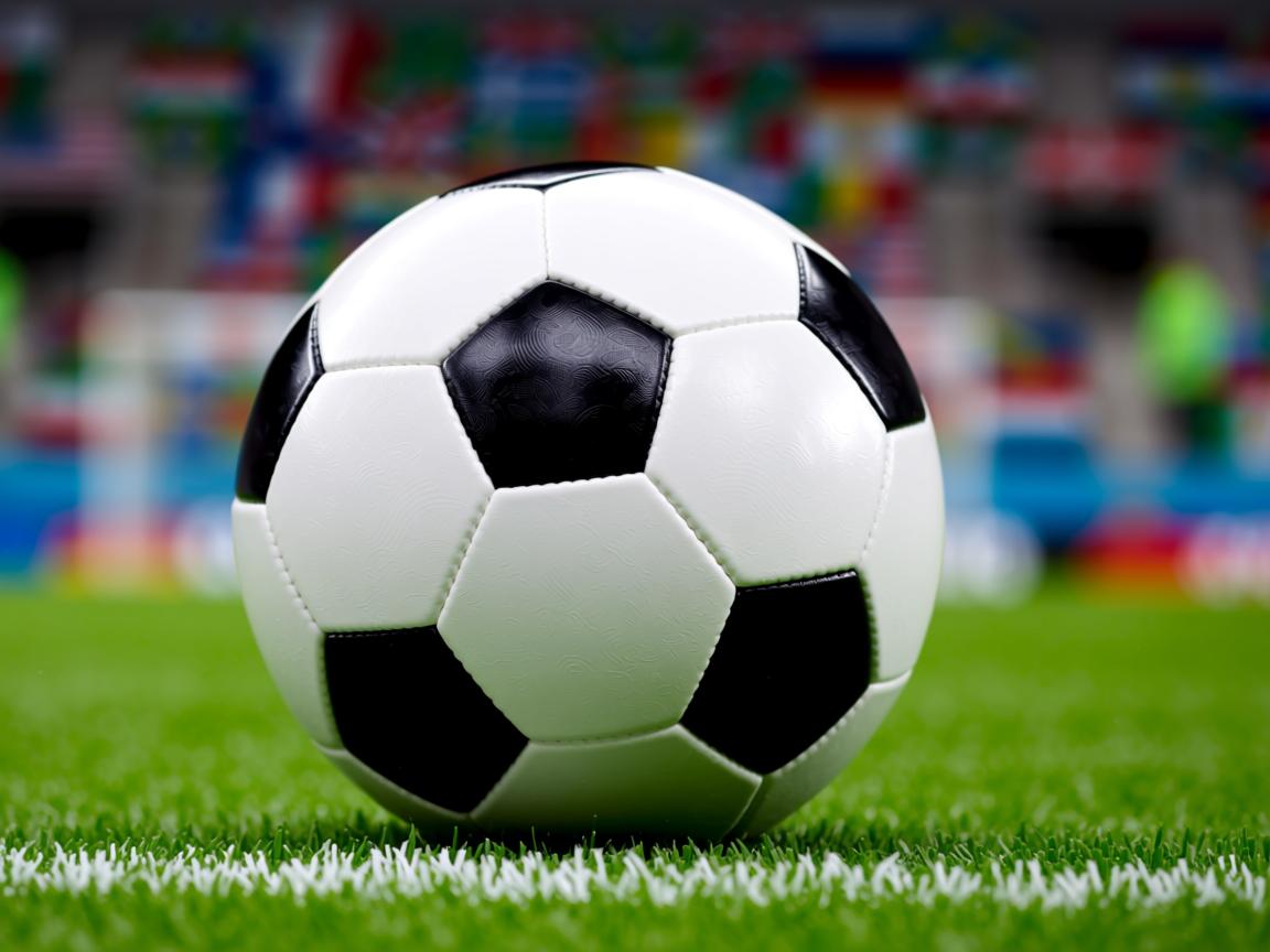 开云体育app入口-奥运备战各项准备工作扎实推进,奥运备战各项准备工作扎实推进什么 第3张